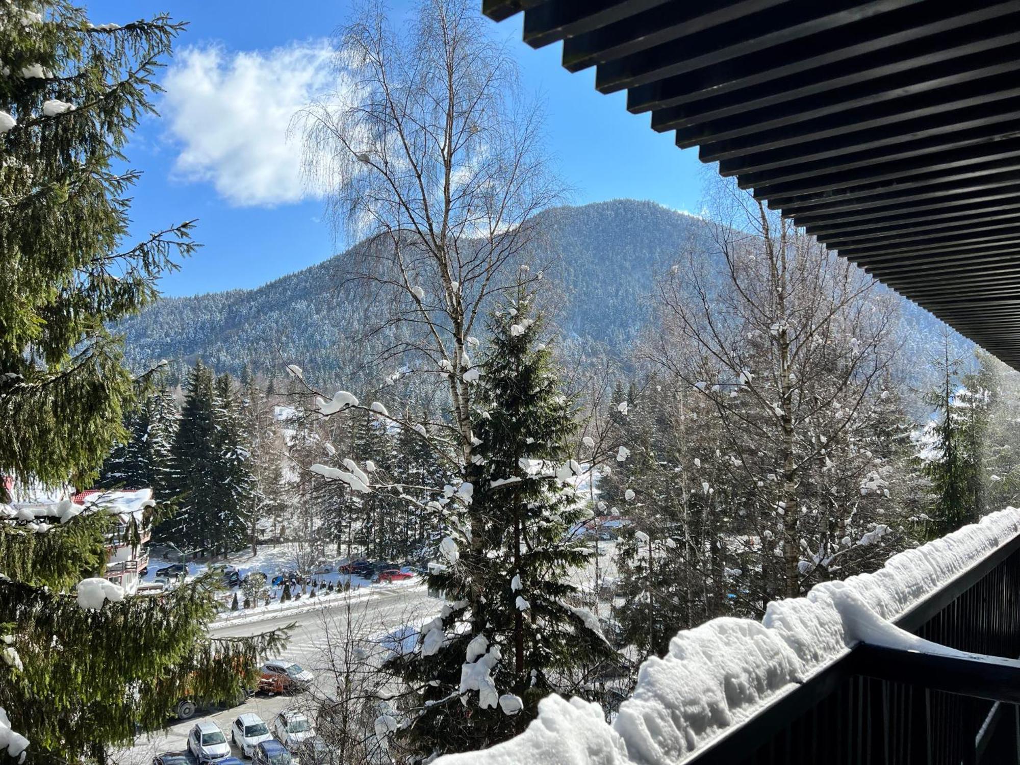 Apartment 2305 Hotel Alpin Пояна Брашов Екстериор снимка